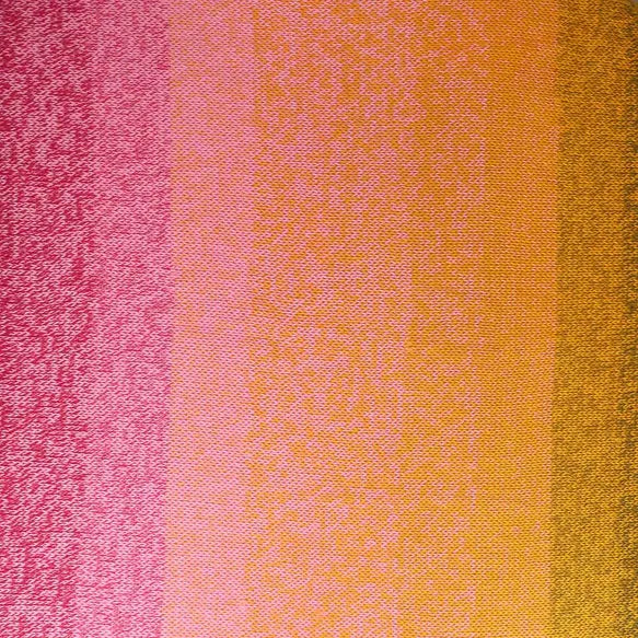 Whirl - Goji Sorbet Dream - 793