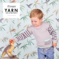 scheepjes-yarn-afterparty-22-dino-hunter-sweater 2