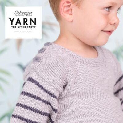 scheepjes-yarn-afterparty-22-dino-hunter-sweater 3