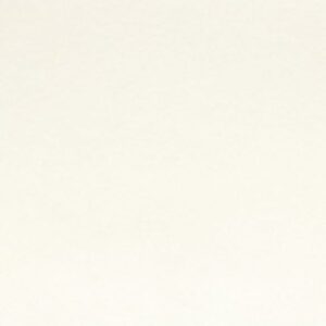 10100-001_1 Vilt Queen's Quality 30x20 - Wit - 001