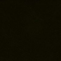 10100-028_2 Vilt Queen's Quality 30x20 - Zwart - 028