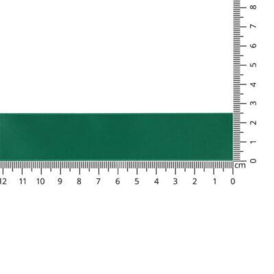 22355-0025-0018_1 Kuny Satijnlint luxe 25mm Groen