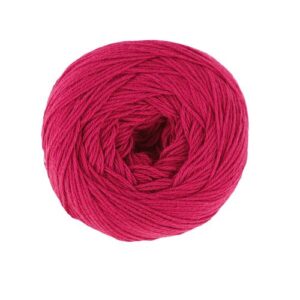 010.83__7001_8063 Durable Piece of Cake - 7001 - 100gr (bol) - Raspberry