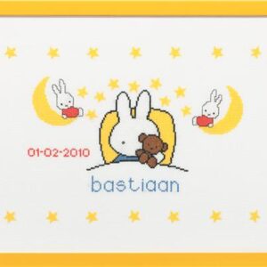 076.230278_112562 Pako 230.278 Borduurpakket telpatroon aïda Geboortetegel Nijntje in bed 36 x 45 cm -